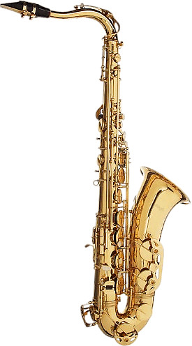 Stagg WS-TS215S