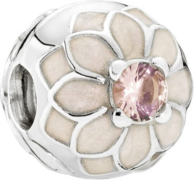 Pandora 791828NBP