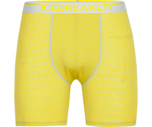 Icebreaker anatomica zone long boxers top