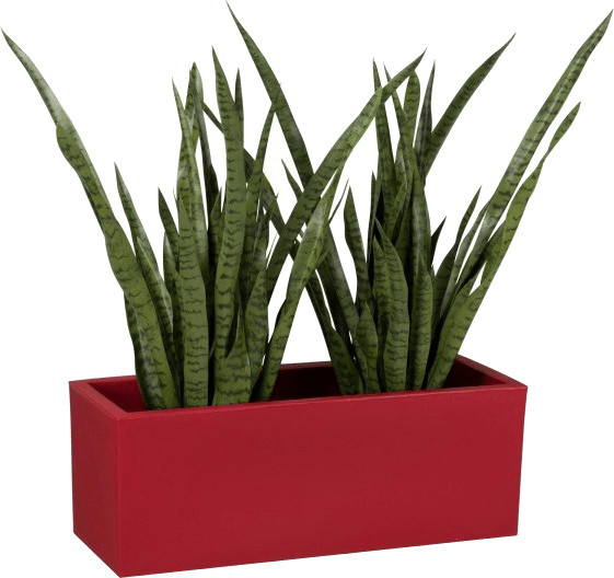 Decoras Muro 30 plastic