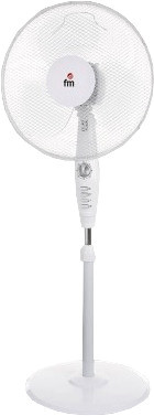 FM P-40 white