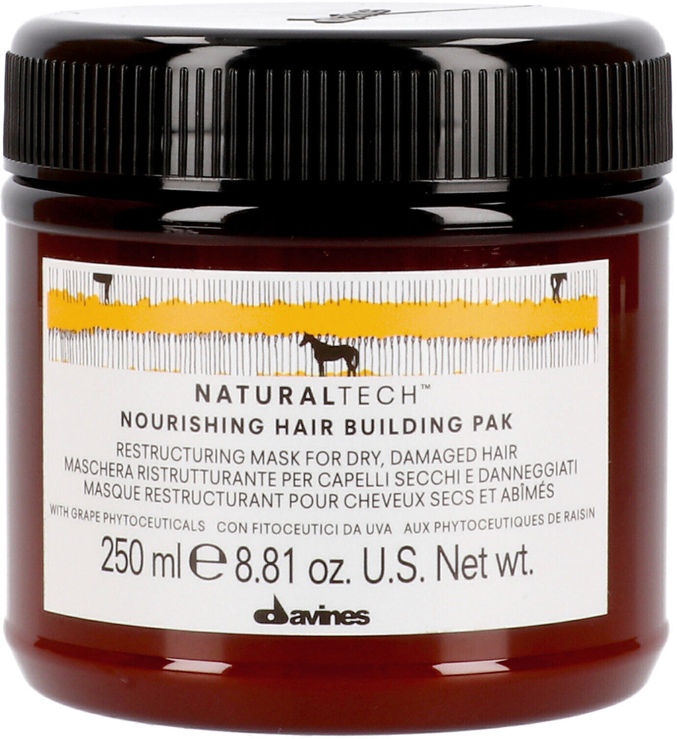 Davines Naturaltech Nourishing Hair Building Pak (250 ml)