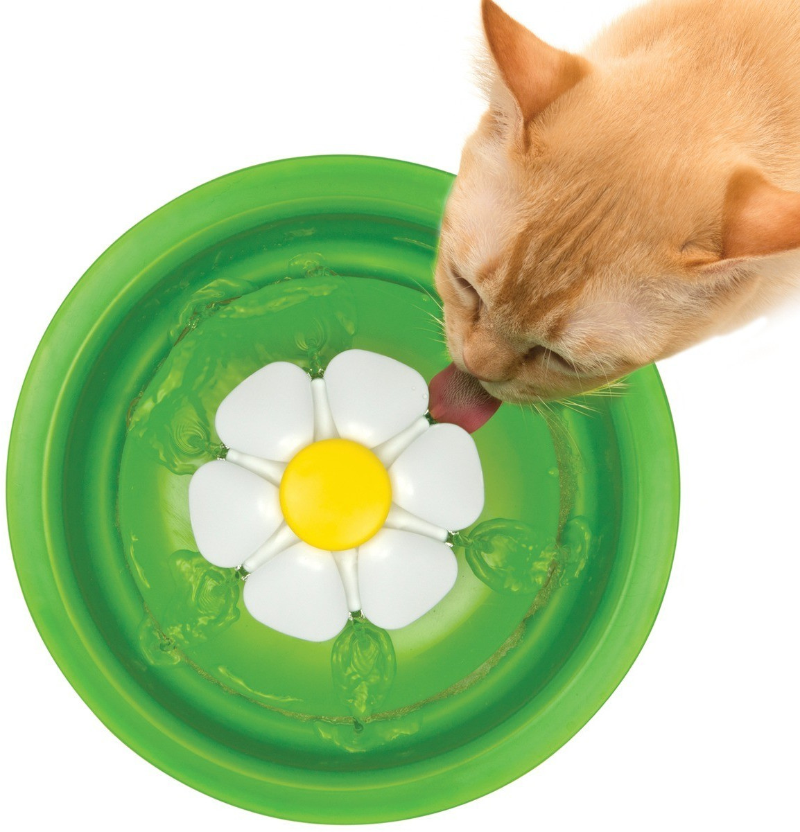 Catit Fontaine à eau pour chat vert Catit Fontaine à eau pour chat vert