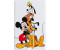Tribe Disney Iconic Card Group 8GB