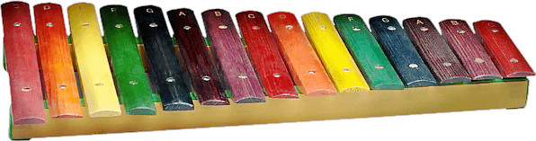 Stagg XYLO-J15 RB