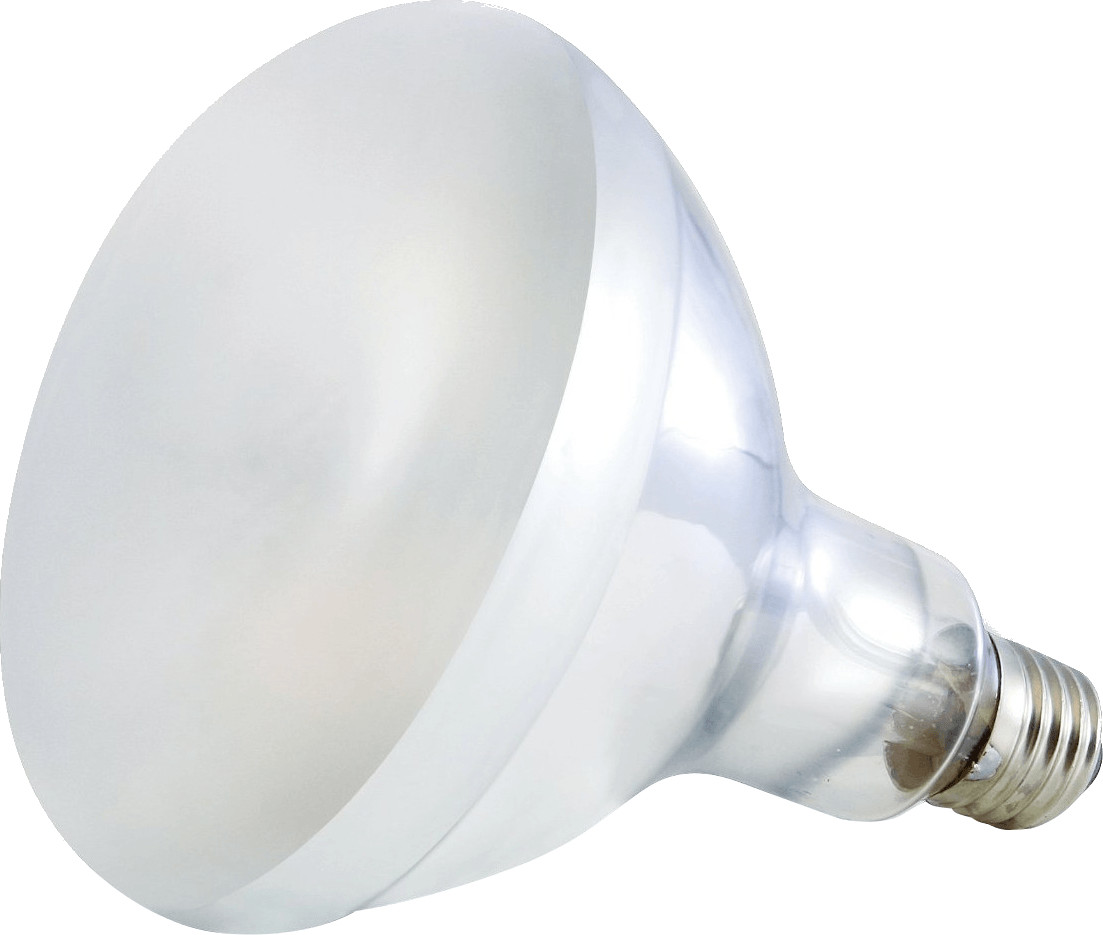Arcadia D3 UV Basking Lamp 80 W