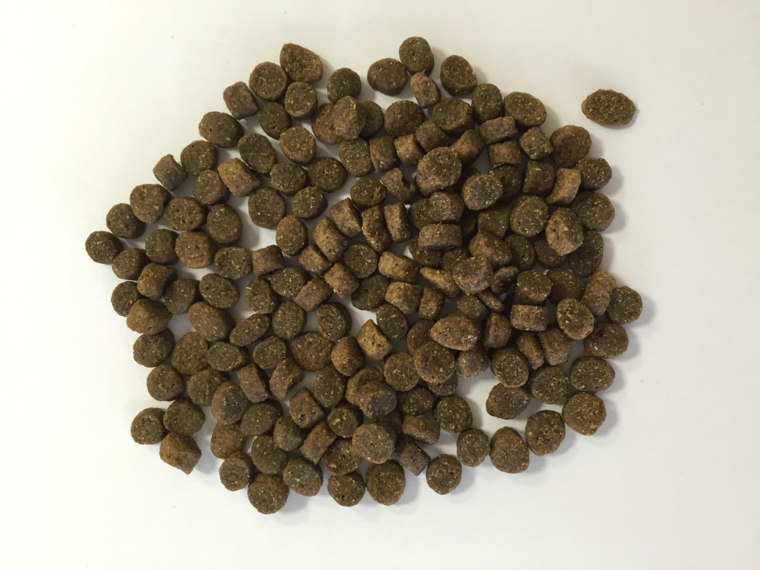 Bellfor Croquettes pour chien 7.5kg