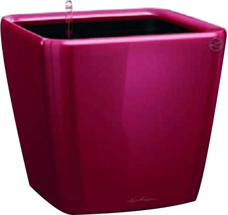 Lechuza Quadro LS 21 All-in-One Set scarlet rouge brillant