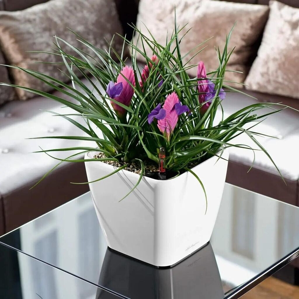 Lechuza Lechuza Quadro LS 21 All-in-One Set bright white - view 11