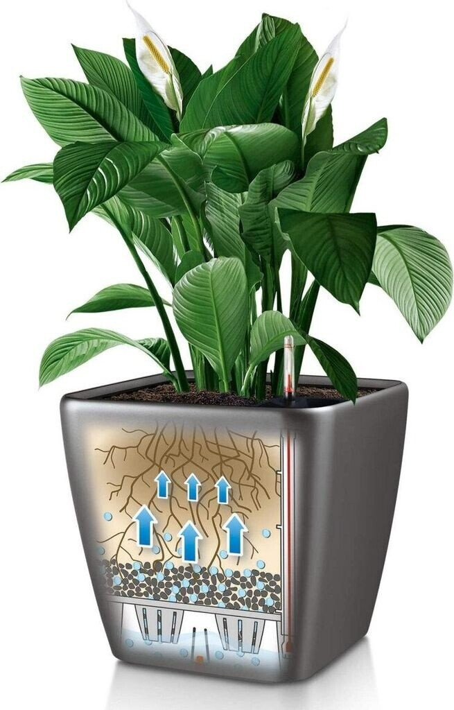 Lechuza Lechuza Quadro LS 21 All-in-One Set bright white - view 13