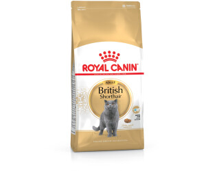 Royal Canin British Shorthair Adult Ab 479 Januar 2020