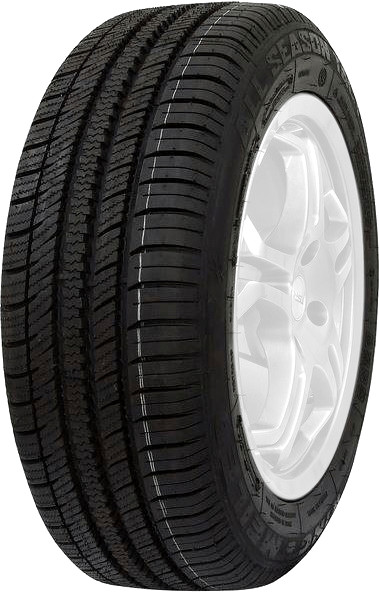 King Meiler AS-1 195/65 R15 91H