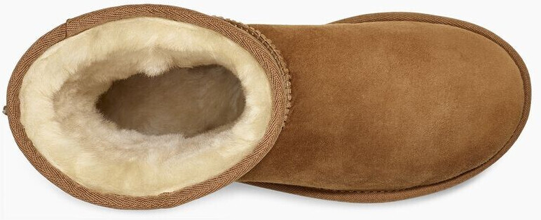 Ugg classic short chestnut size 7 cheap
