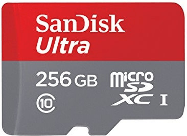 SanDisk Ultra microSDXC 256 Go UHS-I (SDSQUNI-256G)