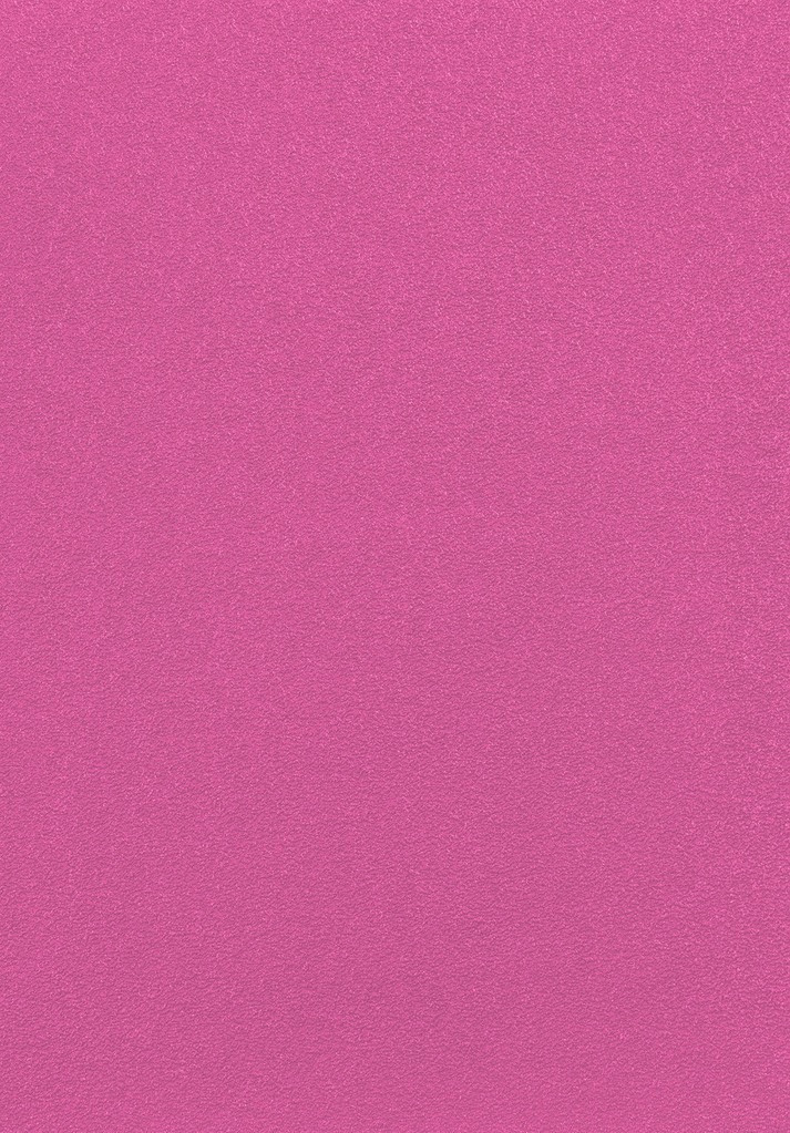Rasch 740295