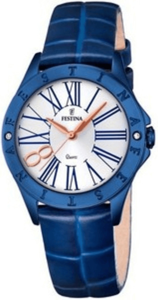 Festina F16931/1