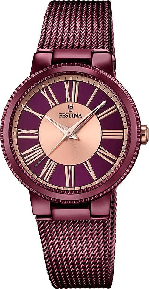 Festina F16966/1