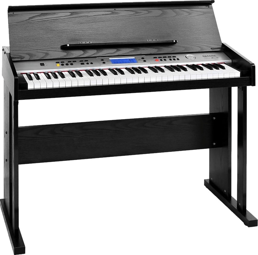 Schubert Carnegy 61