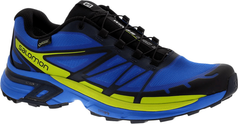 salomon wings pro 2 gtx