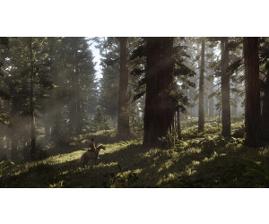 Red dead redemption 2 pre owned ps4 hotsell