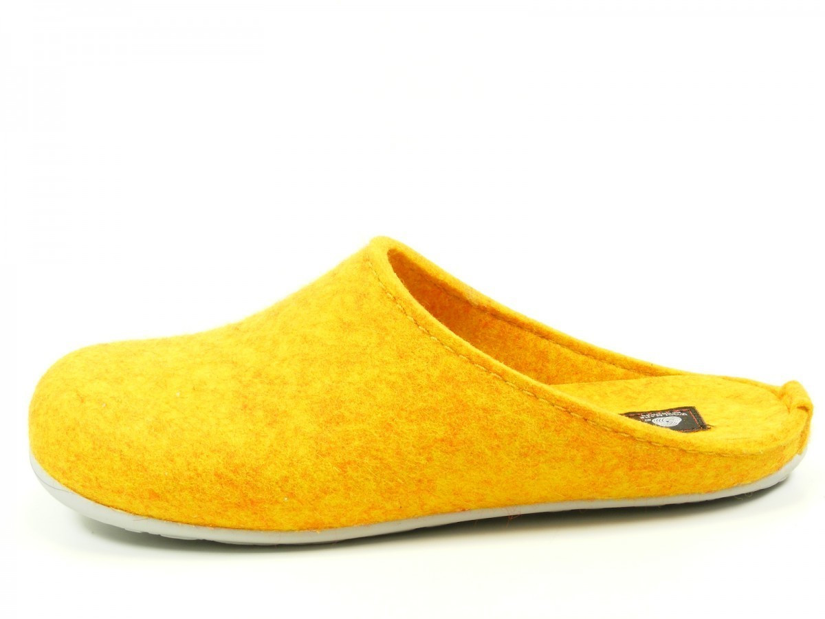 Haflinger Everest Fundus yellow