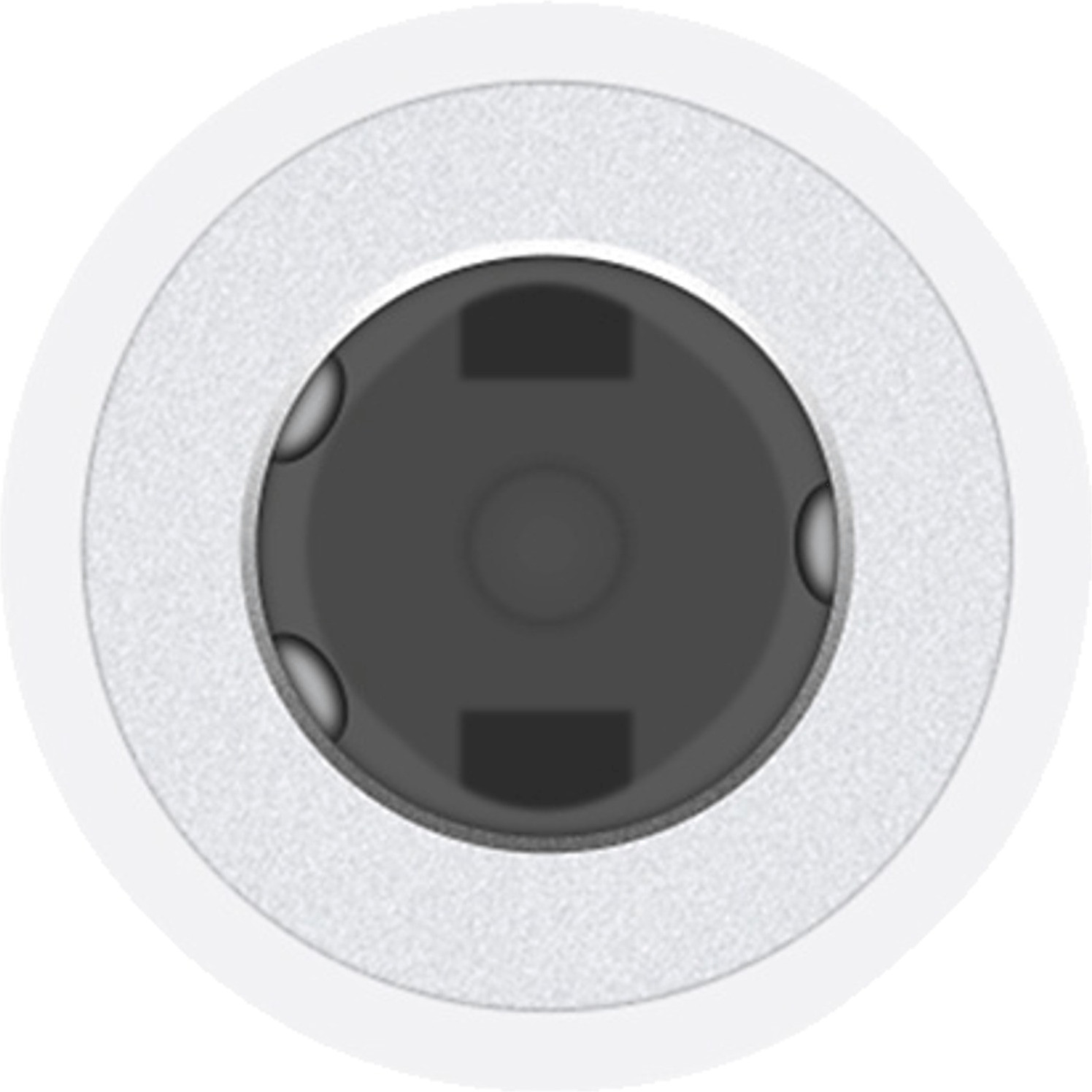 Apple Câble audio Lightning vers mini-jack 3,5 mm (1,2 m) : meilleur prix  et actualités - Les Numériques