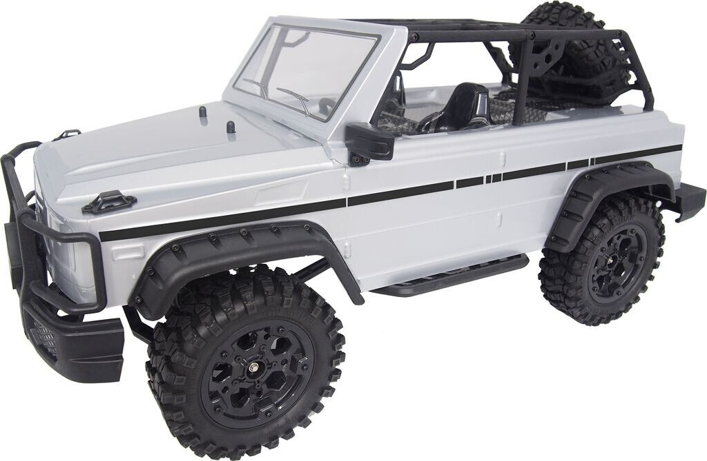 Amewi Surpass Wild 4WD Crawler 1:10 RTR (22188)