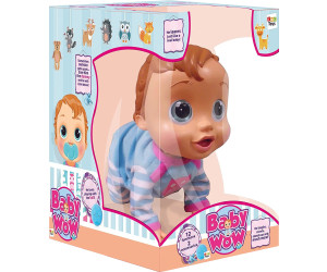 Peke baby lucas clearance