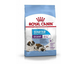 Royal Canin Giant Starter Mother Babydog Ab 22 59