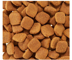 Royal canin golden retriever adult deals dry dog food