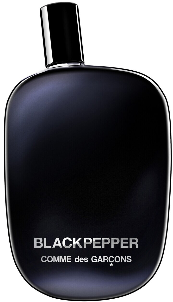 Comme des Garçons Black Pepper Eau de Parfum (100ml)