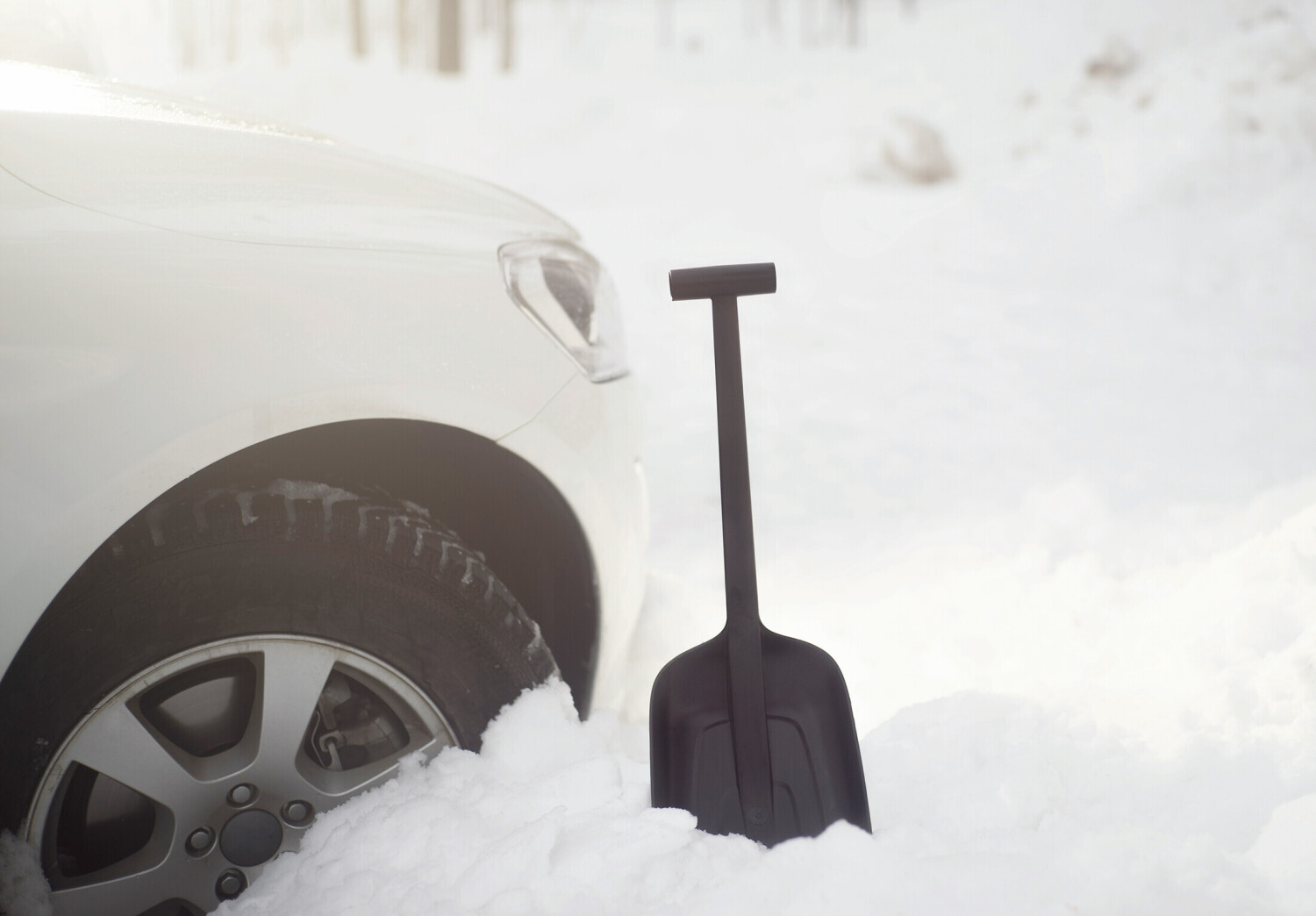 Auto-Schneeschaufel mit verstellbarem Griff - Everest Eco - 26,5 cm -  schwarz - – Garden Seeds Market