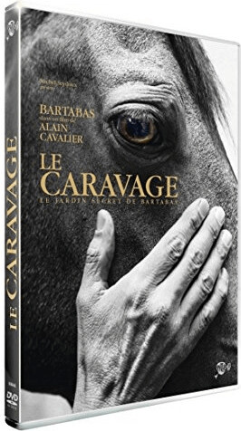 Le Caravage [DVD]