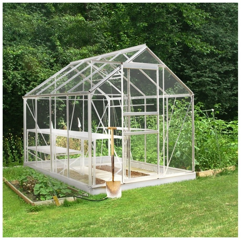 Halls Popular 8 x 6 verre horticole 3 mm argenté