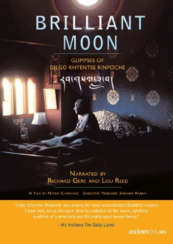 Brilliant Moon [Import anglais] [DVD]