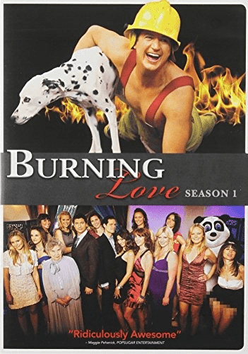 Burning Love: Complete First Season [Import USA Zone 1] [DVD]