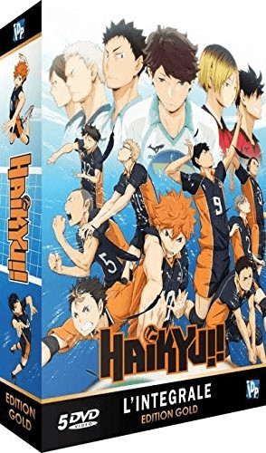 Haikyu!! - Intégrale Saison 1 - Edition Gold (5 DVD + Livret) [DVD]