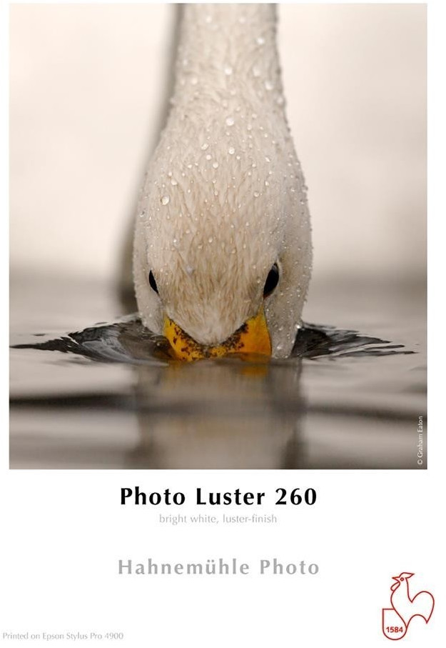 Hahnemühle Photo Luster (HAH10643171)