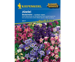 Kiepenkerl Akelei "Biedermeier"