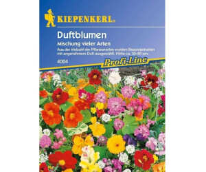 Kiepenkerl Duftblumen "Mischung vieler Arten"