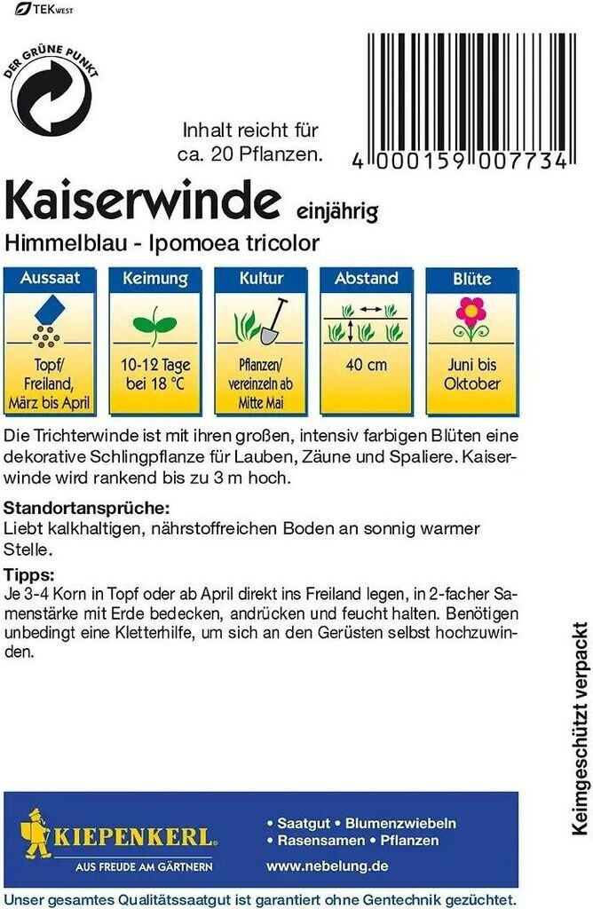 Kiepenkerl Kiepenkerl Himmelblaue Kaiserwinde - side view