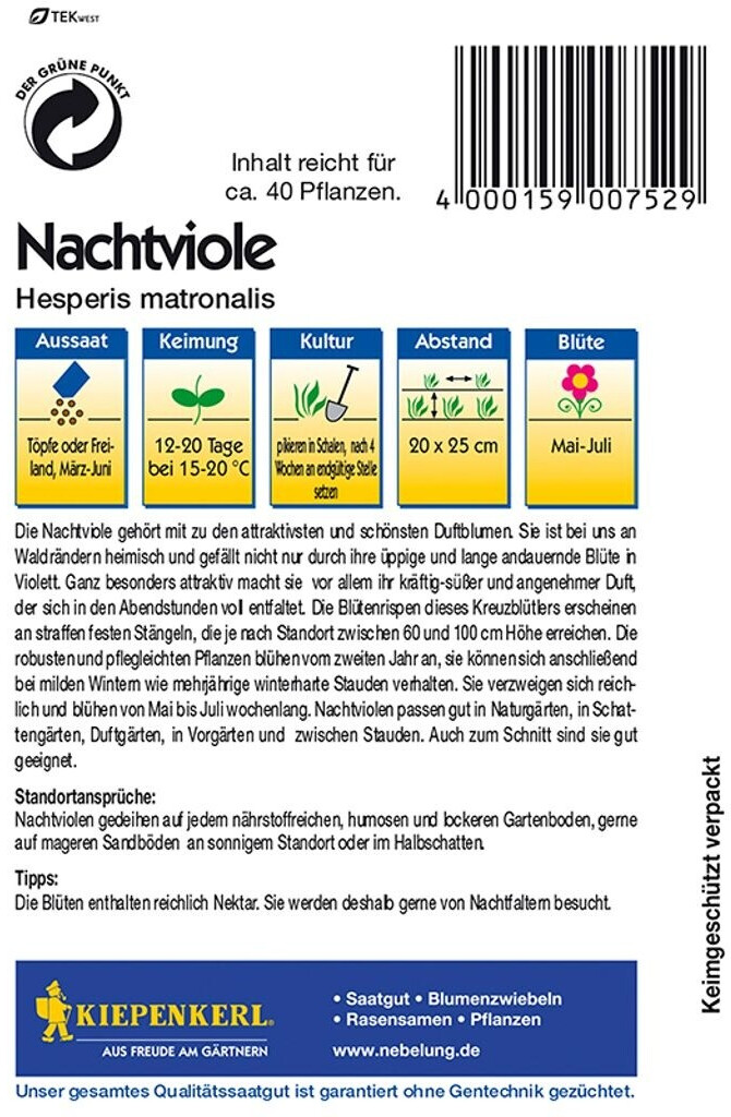 Kiepenkerl Kiepenkerl Nachtviole - side view