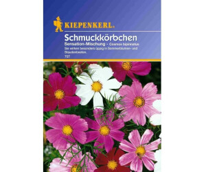 Kiepenkerl Schmuckkörbchen "Sensation-Mischung"
