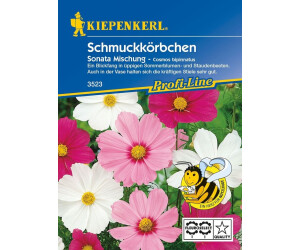 Kiepenkerl Schmuckkörbchen "Sonata Mischung"