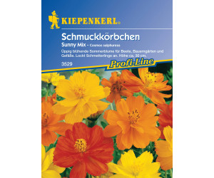 Kiepenkerl Saatgut Schleierkraut Weiße Spitzen