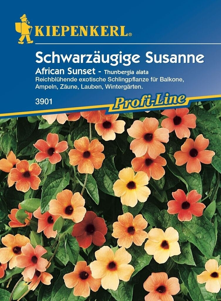 Kiepenkerl Kiepenkerl Schwarzäugige Susanne "African Sunset" - Product image 1 of 2