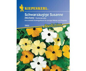 Kiepenkerl Schwarzäugige Susanne "Mischung"