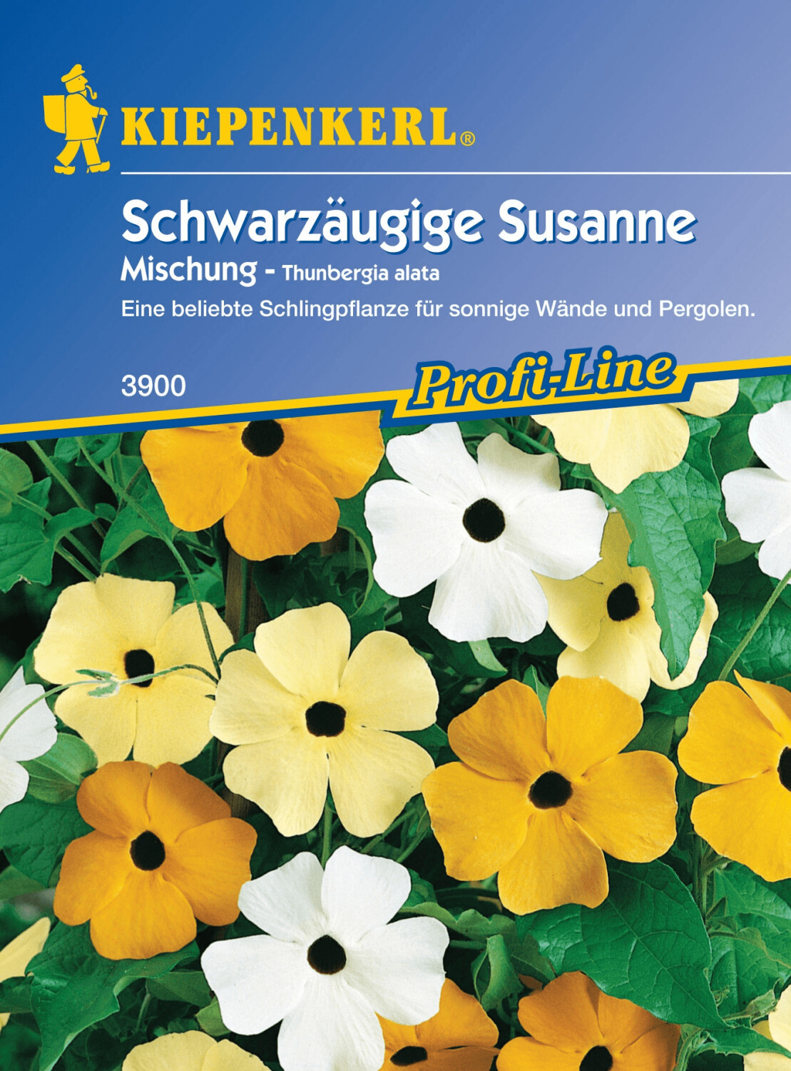 Kiepenkerl Kiepenkerl Schwarzäugige Susanne "Mischung" - Product image 1 of 2