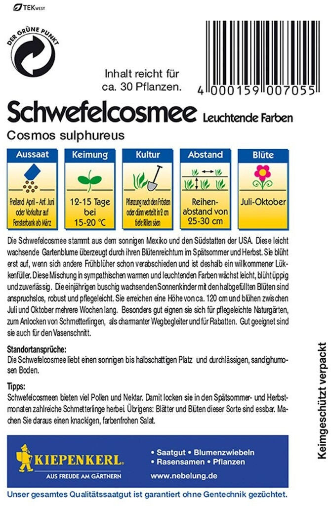 Kiepenkerl Kiepenkerl Schwefelcosmee - side view