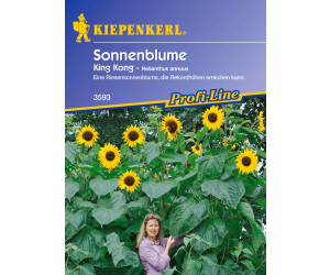 Kiepenkerl Sonnenblume "King Kong" ab 3,19 € Preisvergleich bei idealo.de